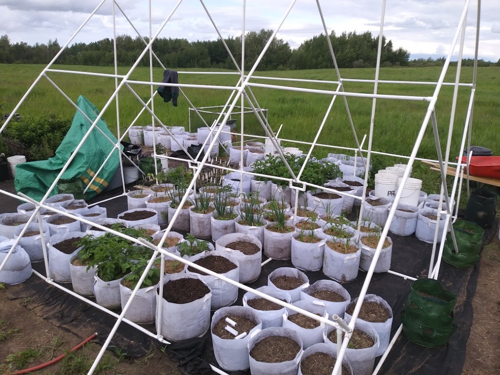 Grown Home Garden Solutions | 36 Skotoko Pl, Okotoks, AB T1S 1R5, Canada | Phone: (587) 441-4104