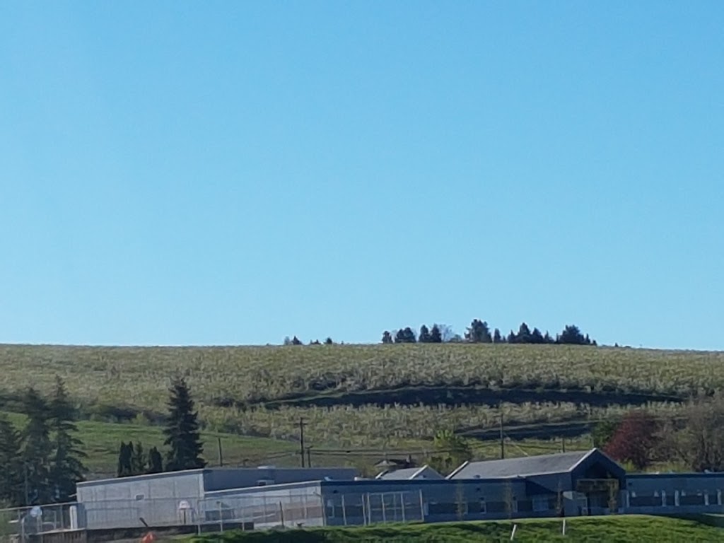 SWAN LAKE RV PARK & CAMPGROUND | 7235 Old Kamloops Rd, Vernon, BC V1H 1W6, Canada | Phone: (250) 545-2300
