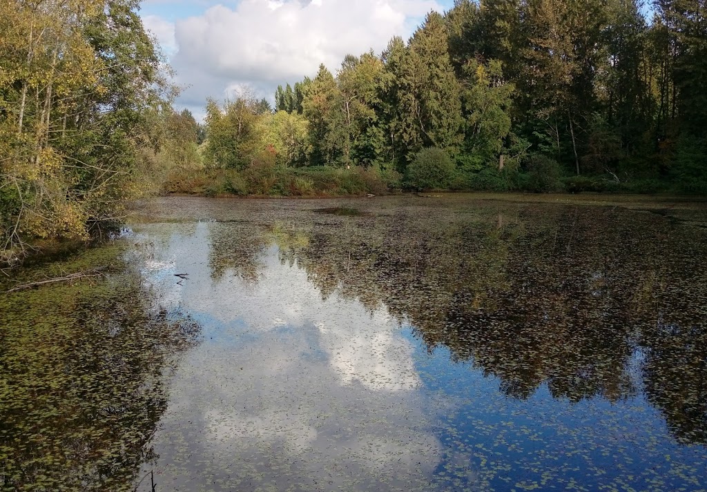 Fishtrap Creek Park | 31480 Maclure Rd, Abbotsford, BC V2T 5G6, Canada | Phone: (604) 853-2281
