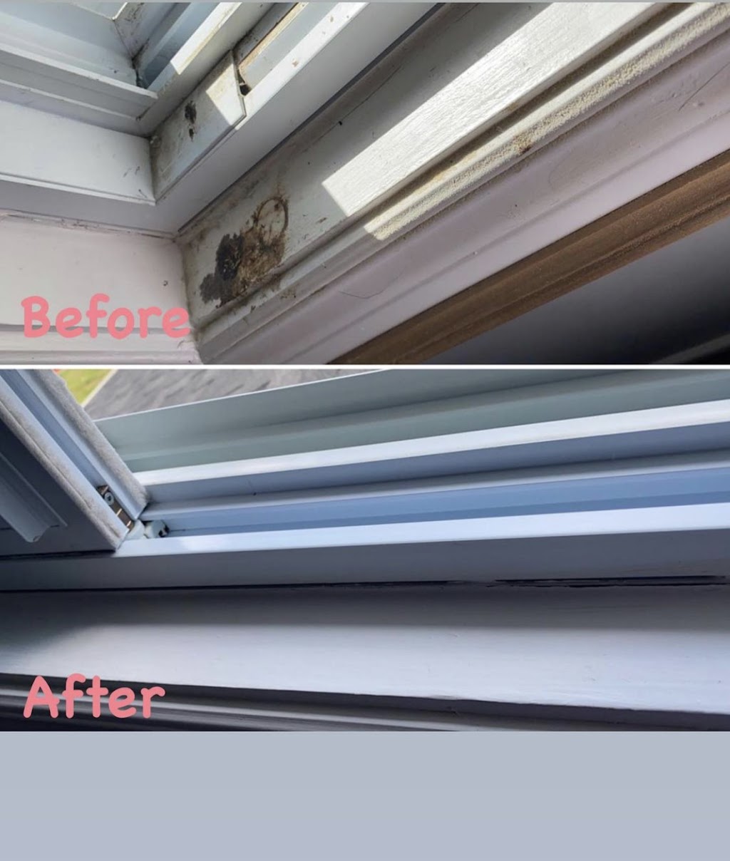 Cleaning to Perfection | 447 Renforth Dr, Etobicoke, ON M9C 2M9, Canada | Phone: (647) 568-6738