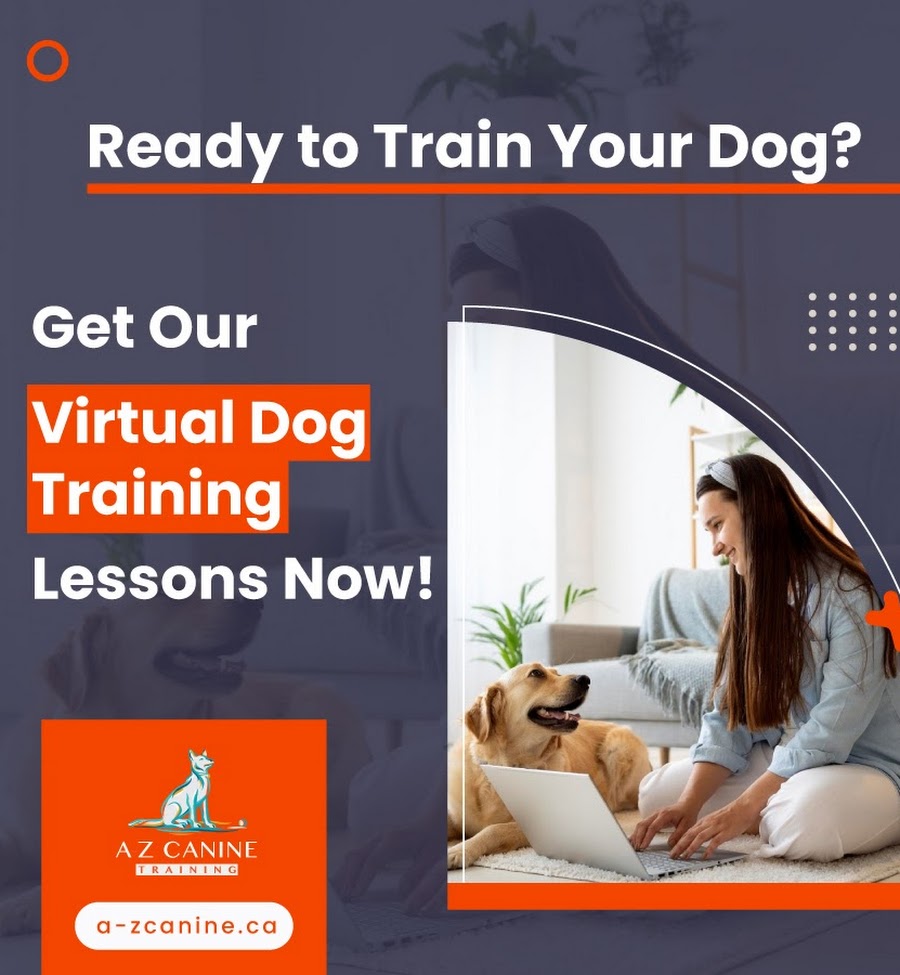A-Z Canine Training | 7531 13th Ave, Burnaby, BC V3N 2E3, Canada | Phone: (604) 341-6509