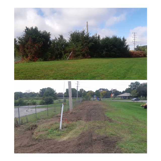 Beaver Brook Forestry & Contracting | 34903 Salem Rd, Parkhill, ON N0M 2K0, Canada | Phone: (519) 280-5087