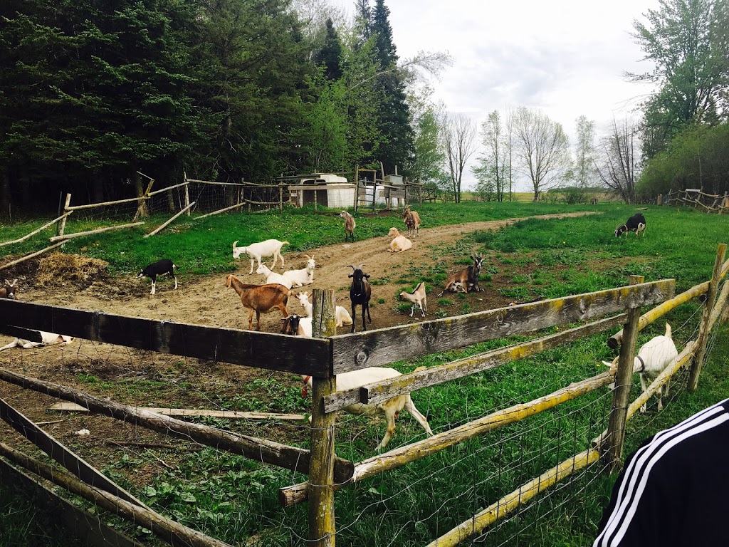 Domaine de Courval | 825 Chemin de Courval, Waterville, QC J0B 3H0, Canada | Phone: (819) 837-0062