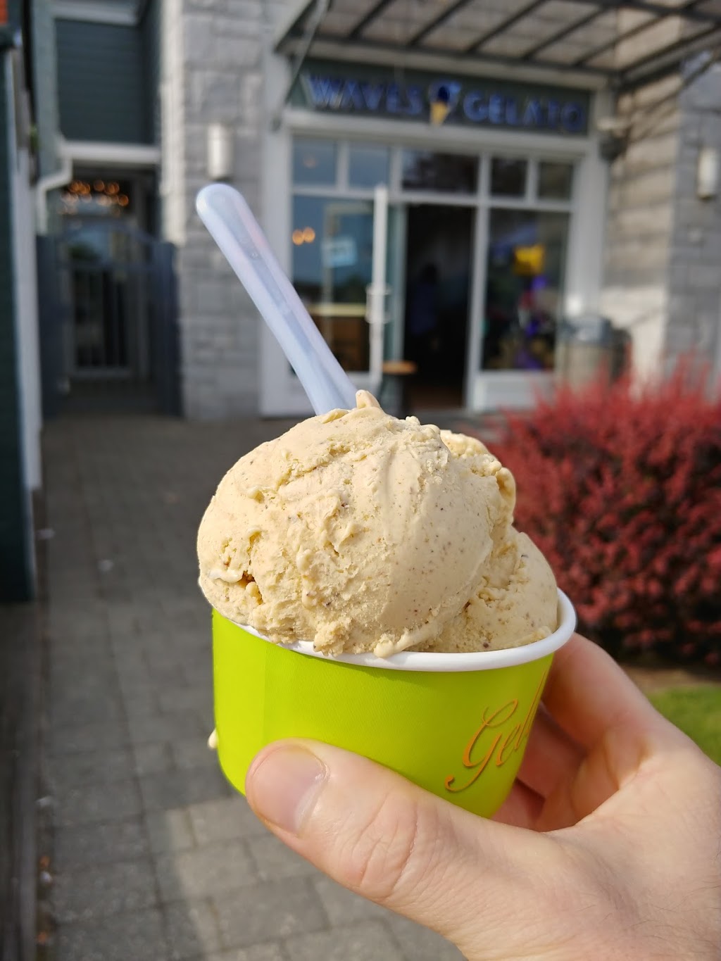 Waves Gelato | 12251 First Ave, Richmond, BC V7E 3M3, Canada