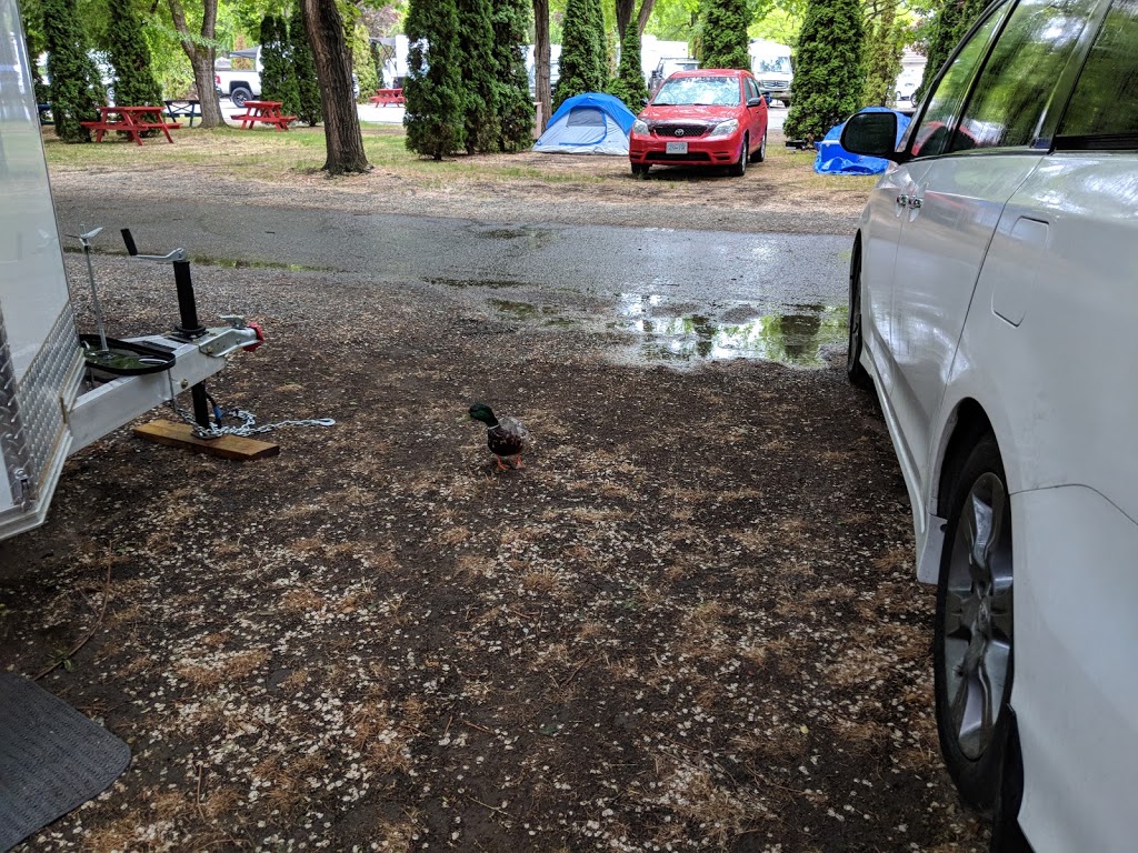 Hiawatha RV Park | 3795 Lakeshore Rd, Kelowna, BC V1W 3K3, Canada | Phone: (250) 861-4837