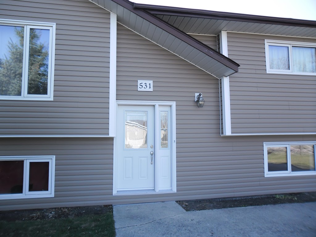 Nisby Home Renovations Ltd | 203 Ferry Rd, Winnipeg, MB R3J 1V9, Canada | Phone: (204) 888-2288