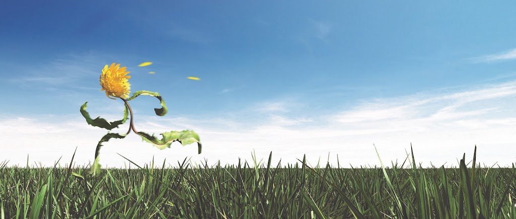 Green Drop Lawns Ltd | 1230 Meridian Rd NE, Calgary, AB T2A 2N9, Canada | Phone: (877) 647-3366