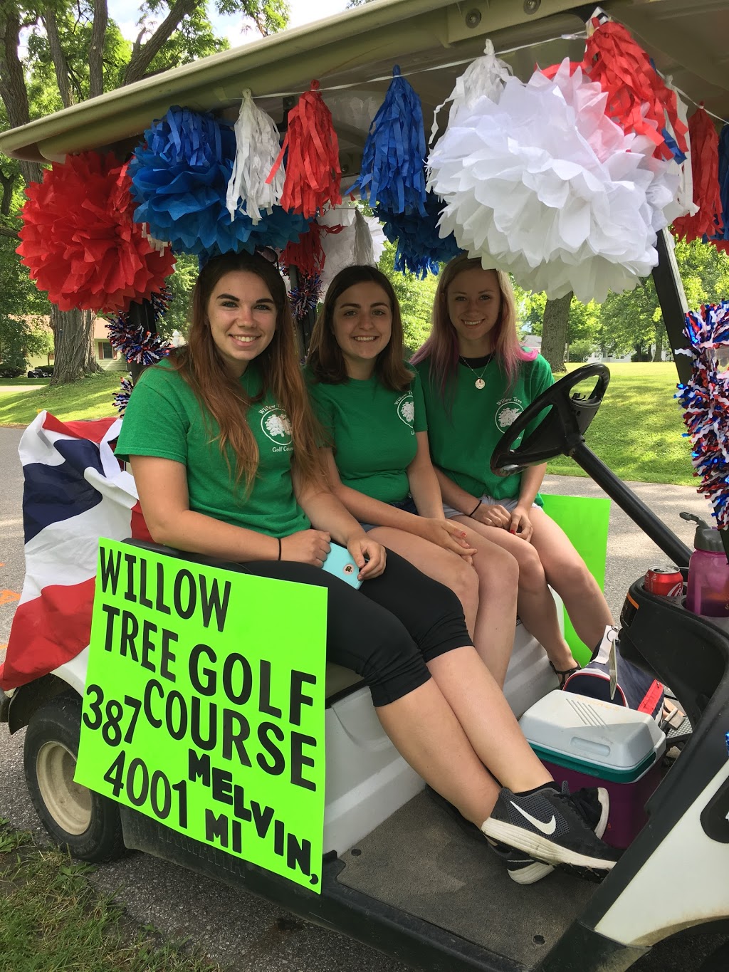 Willow Tree Golf & Country Clb | 232 W Galbraith Line Rd, Melvin, MI 48454, USA | Phone: (810) 387-4001