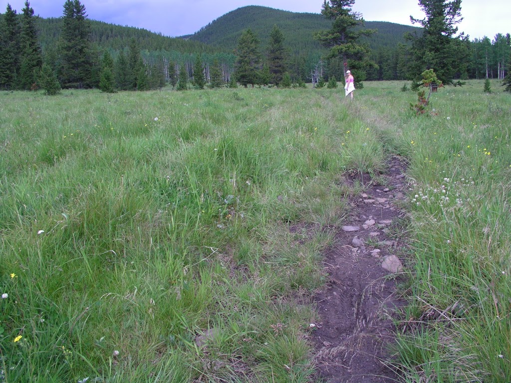 Gorge Creek Day use | Kananaskis, AB T0L 1K0, Canada