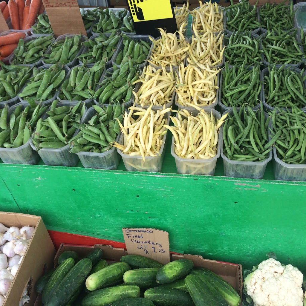 Elmvale Flea And Farmers Market | 1568 County Rd 92, Elmvale, ON L0L 1P0, Canada | Phone: (705) 322-1633