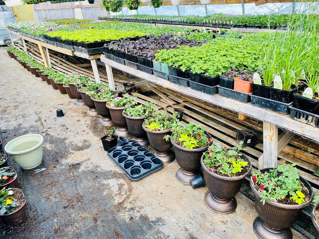 Oliver Garden & Fruit Market | 5555 BC-97, Oliver, BC V0H 1T0, Canada | Phone: (250) 498-3334