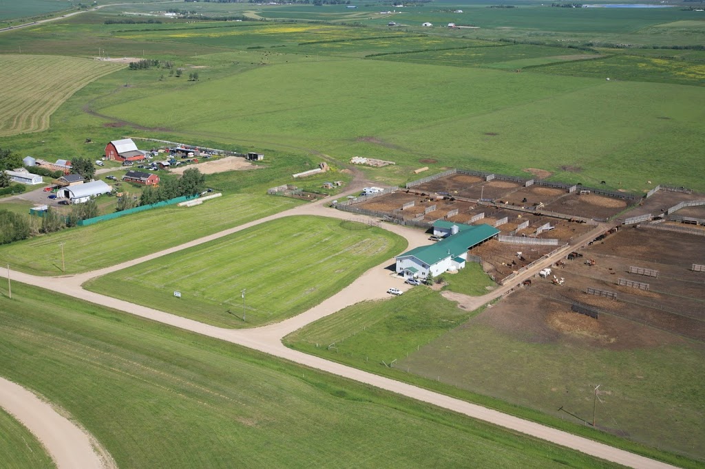 Davis-Rairdan Embryo Transplants | 1118 Twp Rd 294, Crossfield, AB T0M 0S0, Canada | Phone: (403) 946-4551
