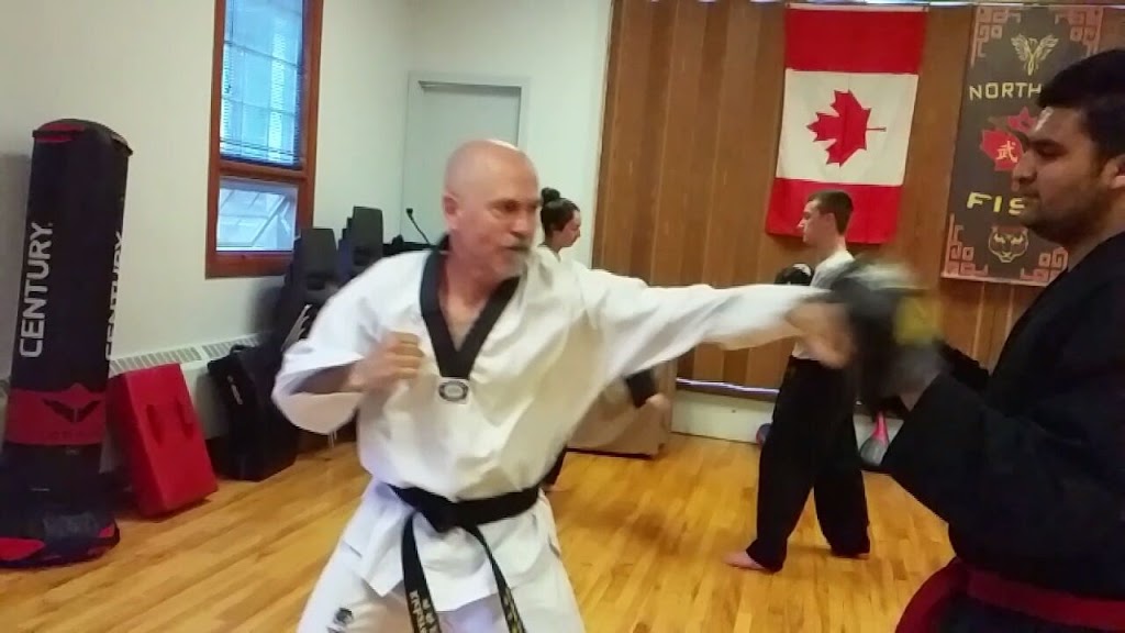 Northern Fist Martial Arts | 4276 Roseland Dr E, Windsor, ON N9G 1Y7, Canada | Phone: (226) 782-9456