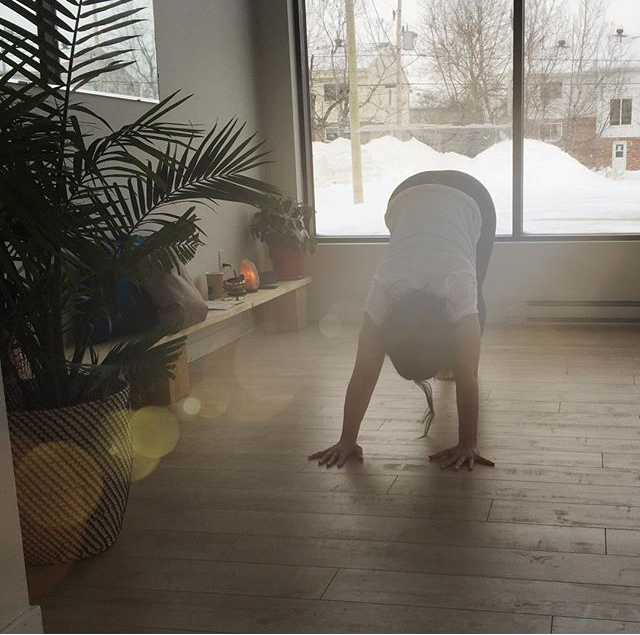 Bar Sante et Yoga Pura Vida | 1767 Chemin Ste Angélique, Saint-Lazare, QC J7T 2X7, Canada | Phone: (438) 874-8432