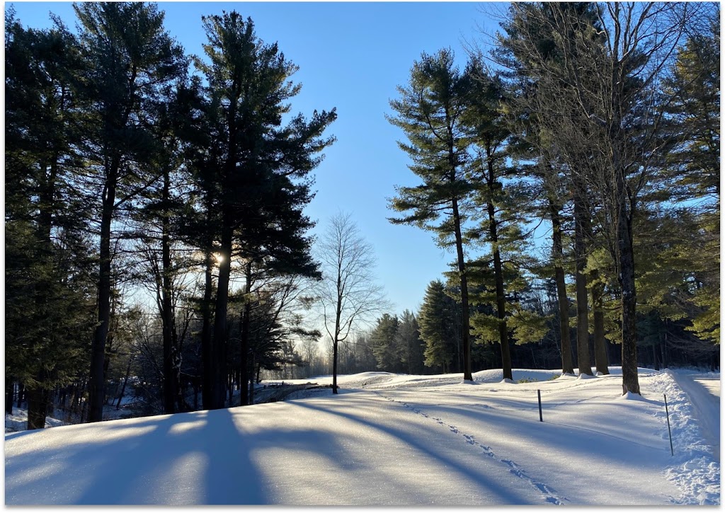 Hillsdale Golf & Country Club | 9850 Mnt Ste Marianne, Mirabel, QC J7J 2A8, Canada | Phone: (450) 435-6521
