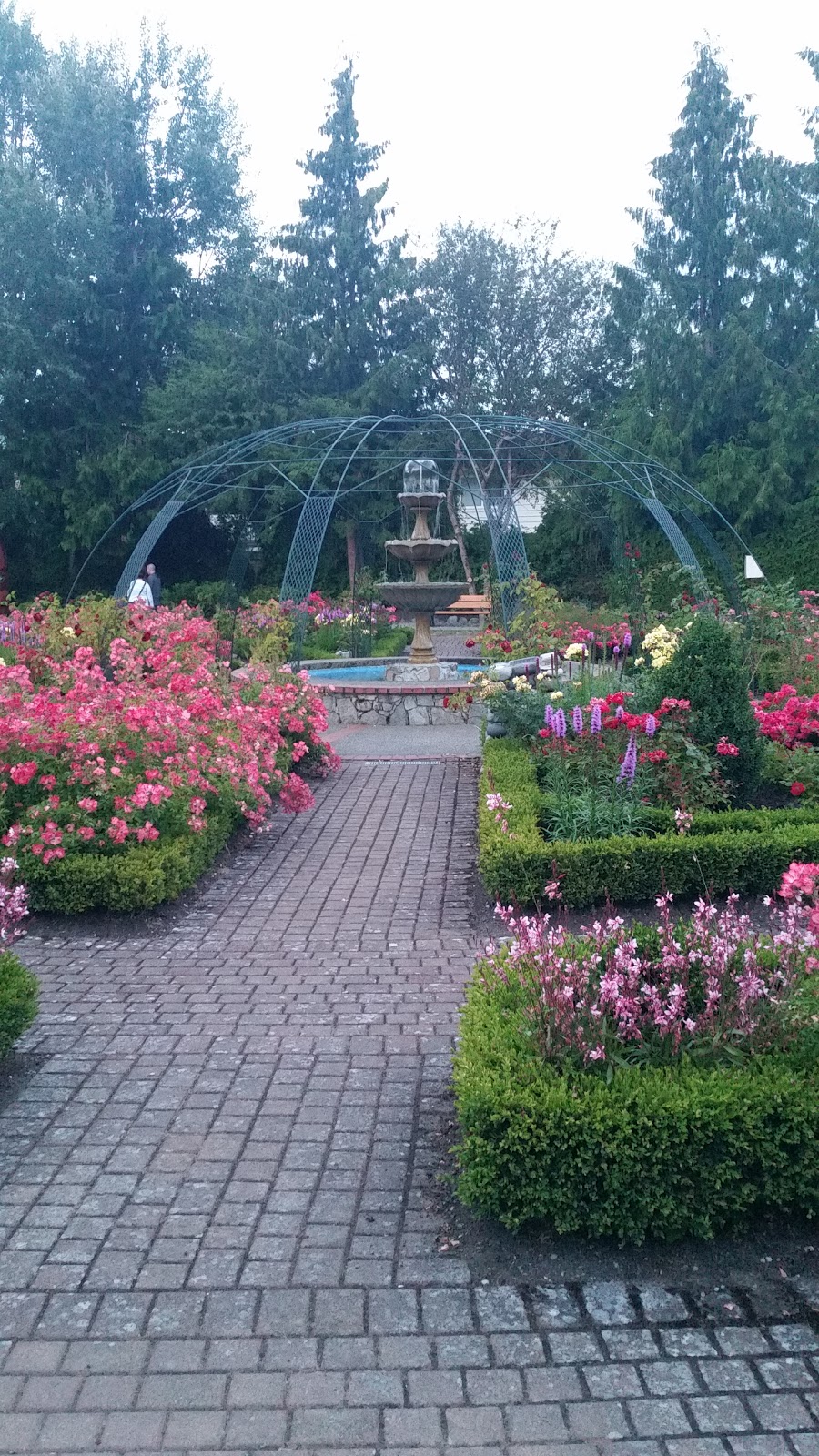 Rose Garden | 10025 Resthaven Dr, Sidney, BC V8L 3G3, Canada