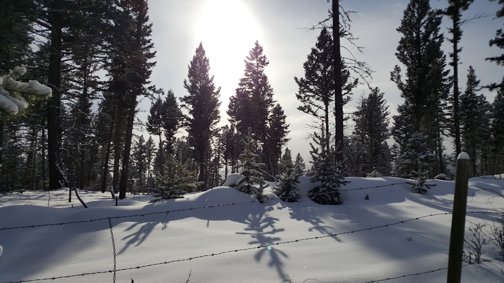 Ponderosa Apartments | 100 Ponderosa Ave, Logan Lake, BC V0K 1W0, Canada | Phone: (250) 523-6429