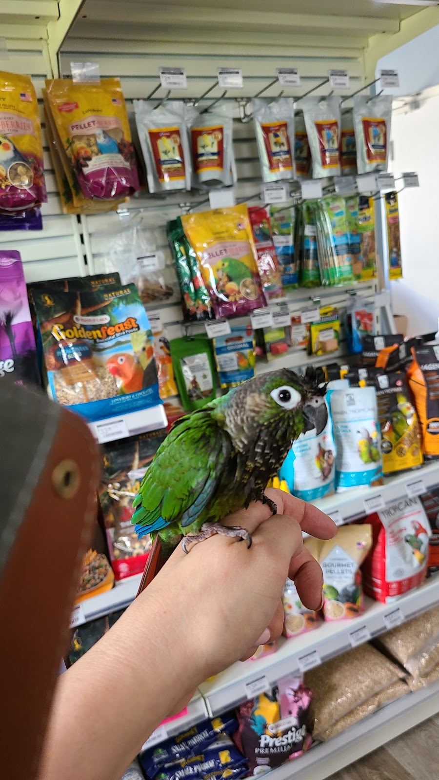 Fergus Pet Corner | 855 St David St N Unit #6, Fergus, ON N1M 2W3, Canada | Phone: (226) 383-4257