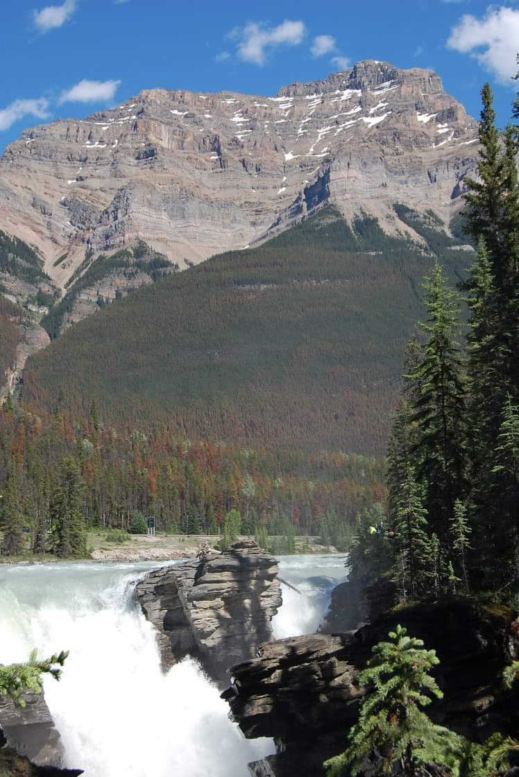 Canmore Park - Cross Country location | 3298 19 St NW, Calgary, AB T2L 2A8, Canada