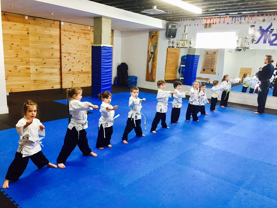 K2v School Karate Bromont | 104 Rue Clermont, Shefford, QC J2M 1X3, Canada | Phone: (514) 708-5673