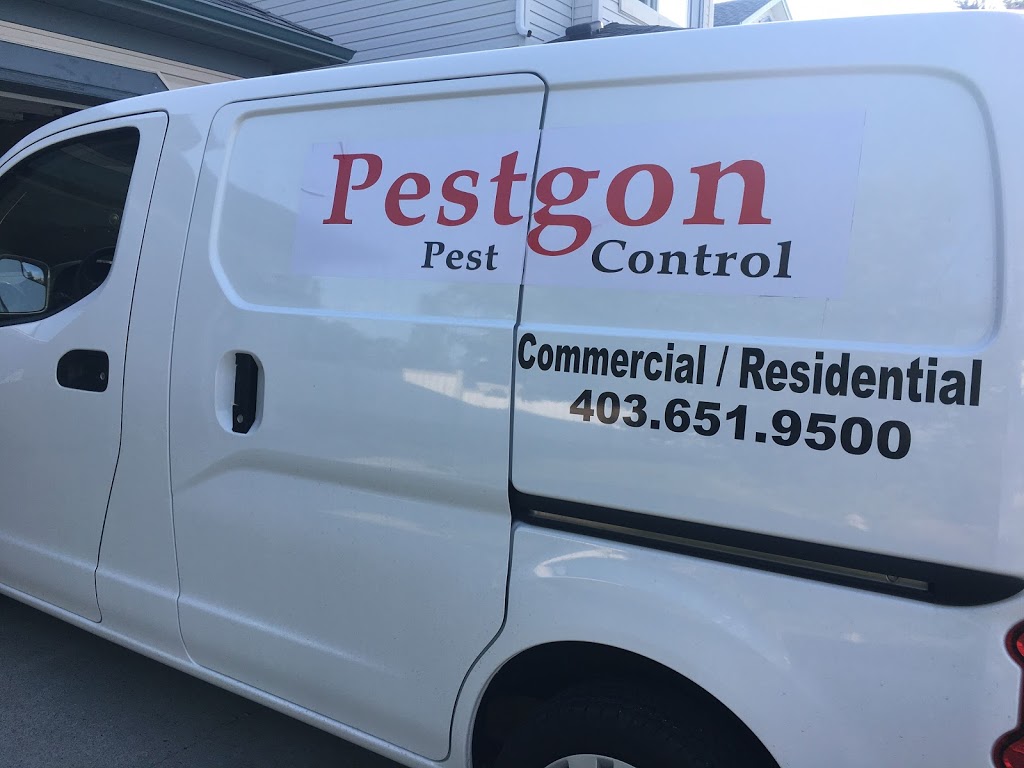 Pestgon Pest Control | 67 Citadel Meadow Grove NW, Calgary, AB T3G 4K6, Canada | Phone: (403) 651-9500