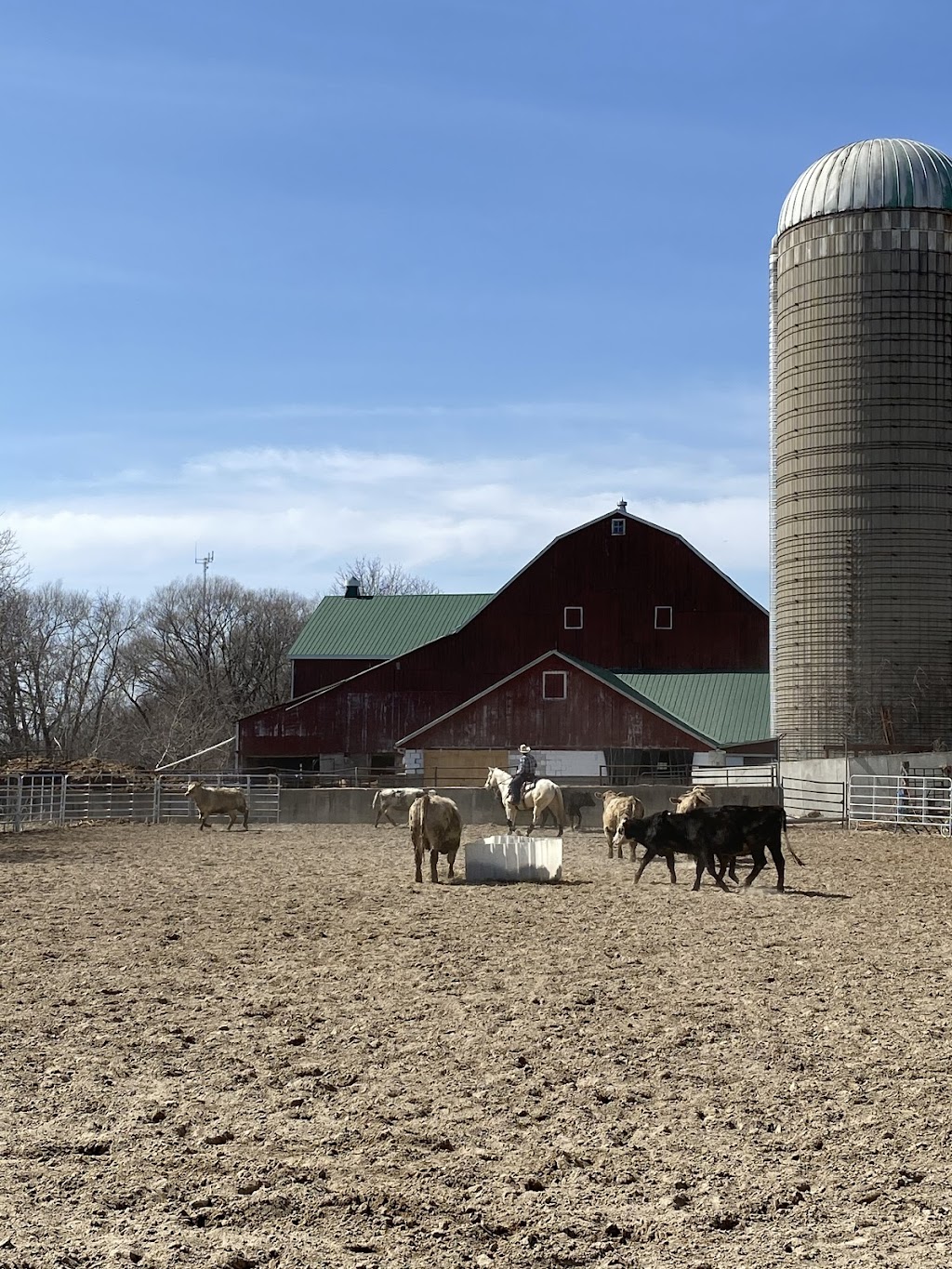 The Sliding Stop Tack Shop | 1332 New Jerusalem Rd, Waterloo, ON N2J 4G8, Canada | Phone: (519) 807-2594