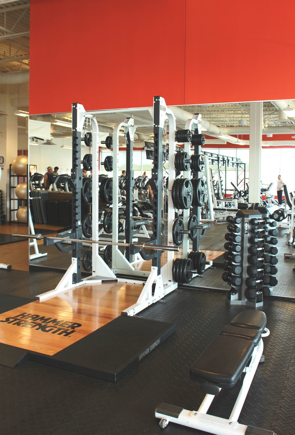 Nautilus Plus Delson | 66 Route 132 #260, Delson, QC J5B 0A1, Canada | Phone: (514) 666-0909