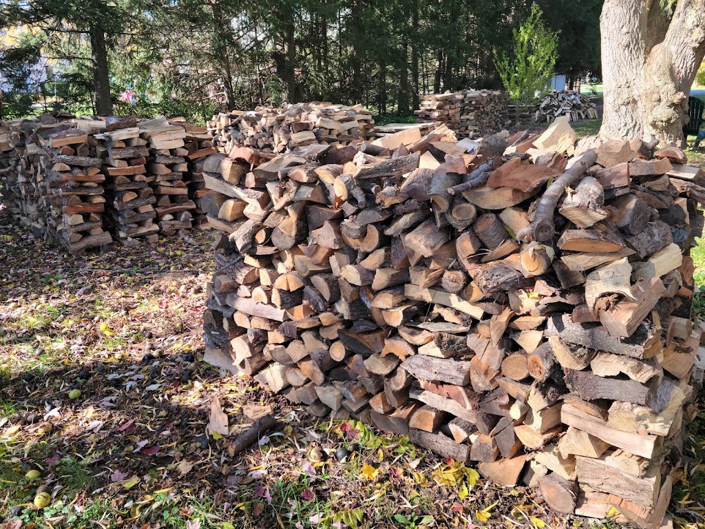 Family Tree Arborists | 693, Talmill Towers, 304 Talbot St, London, ON N6A 2T7, Canada | Phone: (519) 520-0806