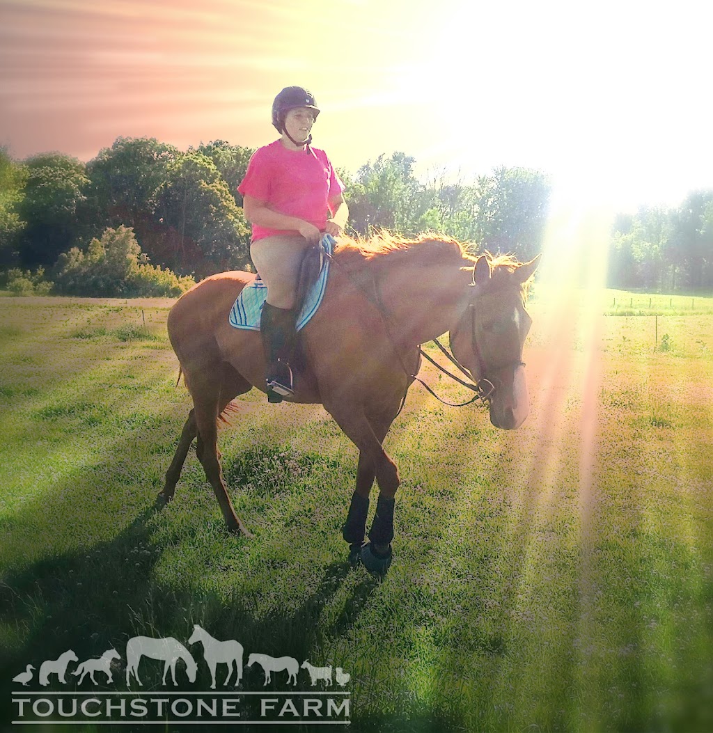 Touchstone Farm | RR2, Embro, ON N0J 1J0, Canada | Phone: (519) 535-2787