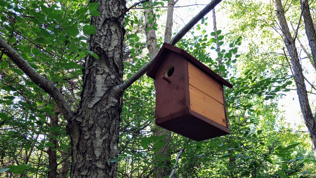 L.C. Henderson Conservation Area | RR 4, Petrolia, ON N0N 1R0, Canada | Phone: (519) 882-2280