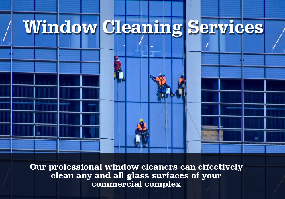 Office Cleaning Services Brampton - Shine Tech Group Ltd. | laundry | 10 Skylar Cir, Brampton, ON L6P 0Z4, Canada | 6479559532 OR +1 647-955-9532