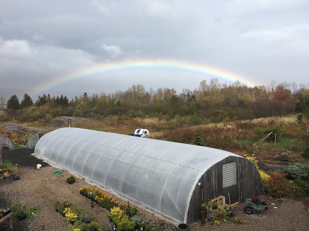 Bunchberry Nurseries | 2779 Nova Scotia Trunk 1, Annapolis Royal, NS B0S 1A0, Canada | Phone: (902) 532-7777