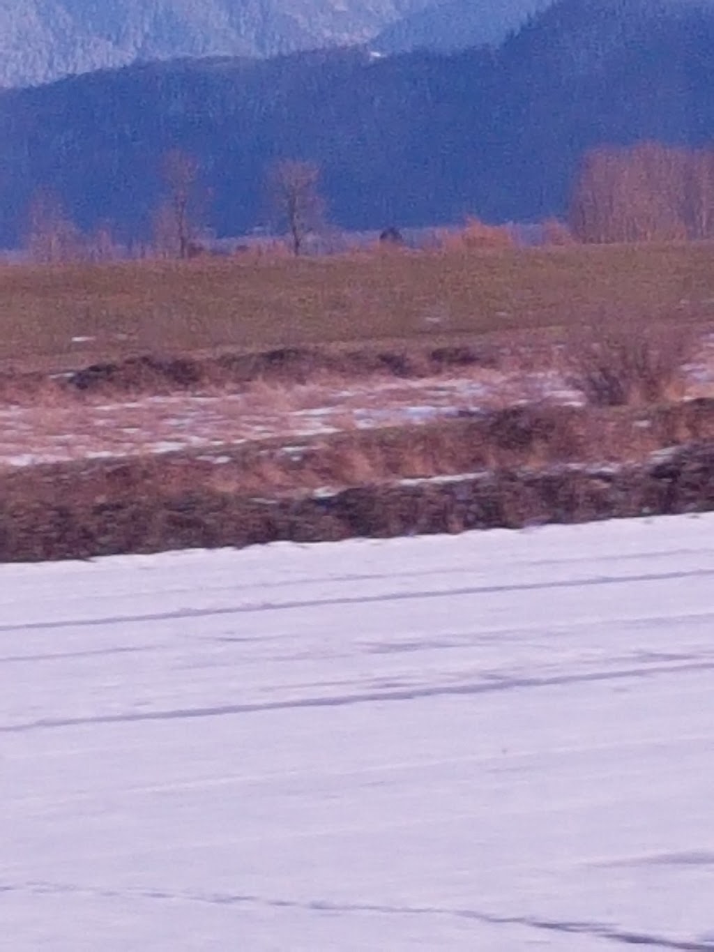 Cedarwal Farms | 5722-5854 Interprovincial Hwy, Abbotsford, BC V3G 2P7, Canada | Phone: (236) 833-8418