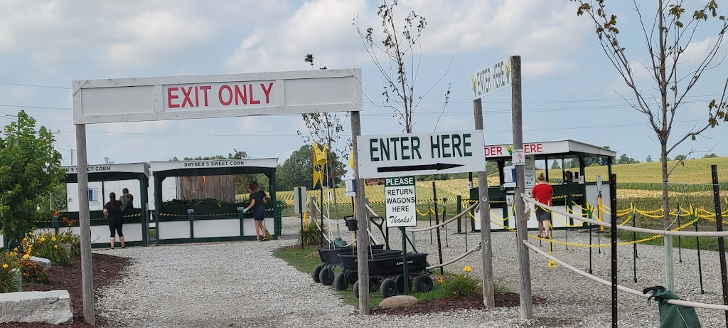 Snyders Sweet Corn | 1863 Haldimand Rd 9, Caledonia, ON N3W 2K1, Canada | Phone: (905) 765-0072