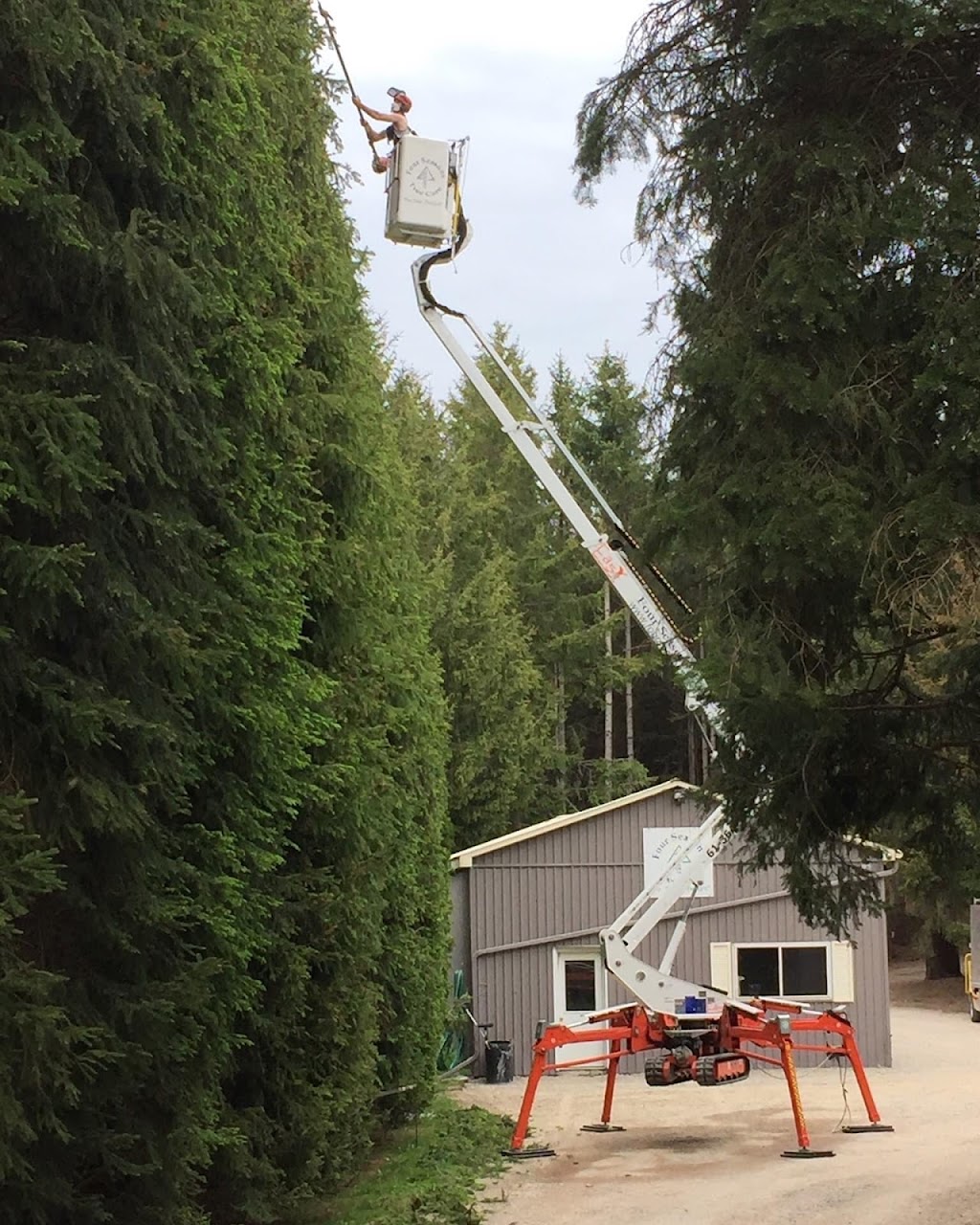 Four Seasons Tree Care | point of interest | 6282 Bloomington Rd, Whitchurch-Stouffville, ON L4A 2Z5, Canada | 4164108770 OR +1 416-410-8770
