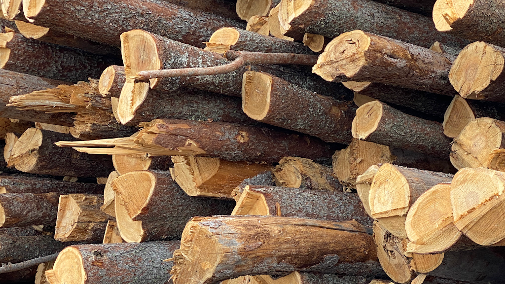 THE FIREWOOD FARM INC | 20250, 19828 18 St NW, Edmonton, AB T5Y 6B8, Canada | Phone: (587) 771-2822
