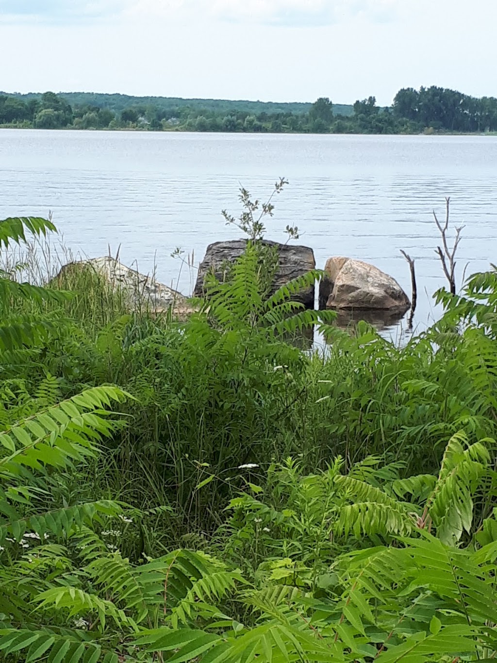 Eplett Park | 320 Waldie Ave, Victoria Harbour, ON L0K 2A0, Canada | Phone: (705) 534-7248