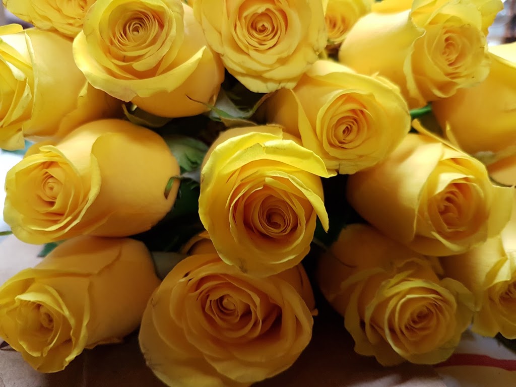 Toronto Bulk Flowers | 9961 Yonge St, Richmond Hill, ON L4C 1T9, Canada | Phone: (416) 568-8009