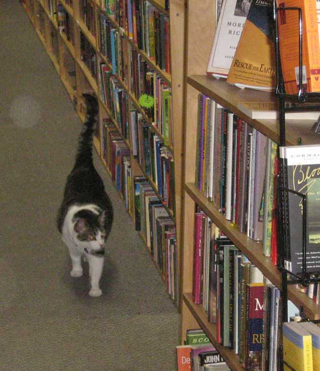 Companion Books | 4094 Hastings St, Burnaby, BC V5C 2H9, Canada | Phone: (604) 293-2665