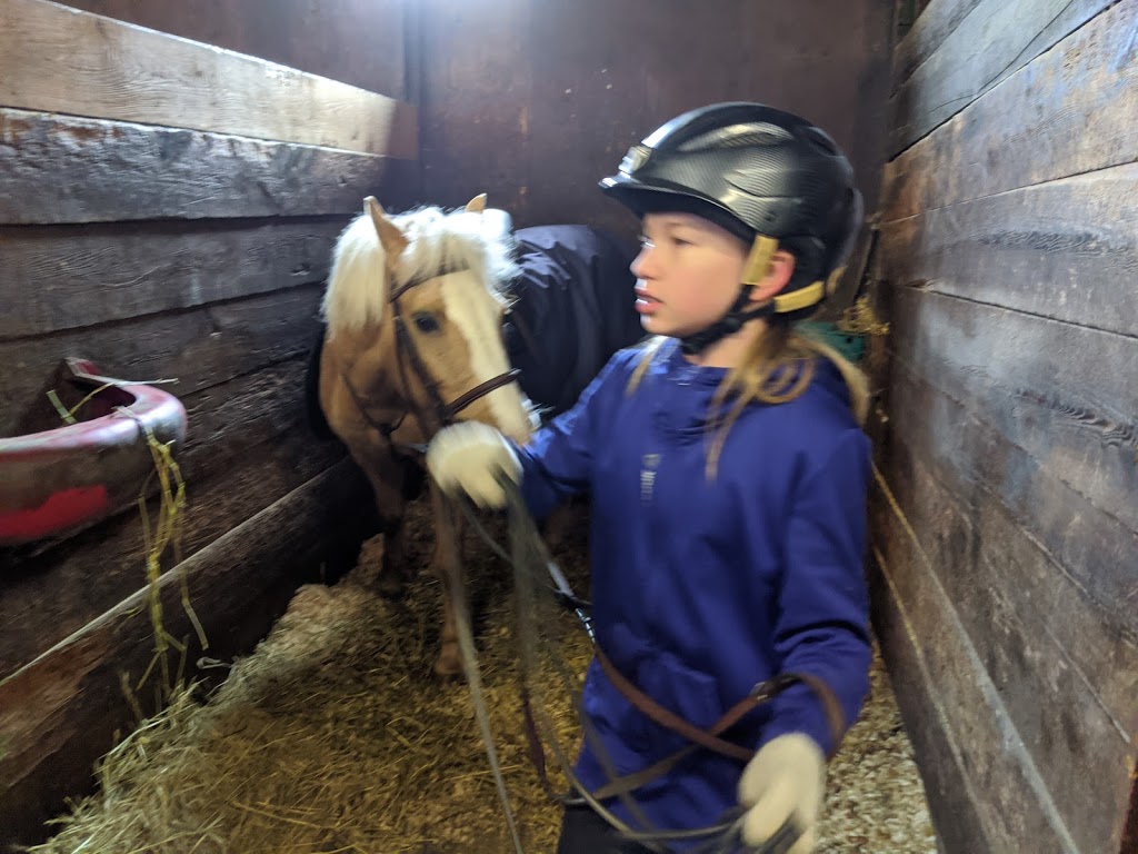 Fiddlers Green Stables | 6575 Flewellyn Rd, Stittsville, ON K2S 1B6, Canada | Phone: (613) 831-2844