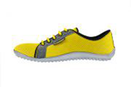 Leguano | 55 Queen St, Lakefield, ON K0L 2H0, Canada | Phone: (888) 738-9197