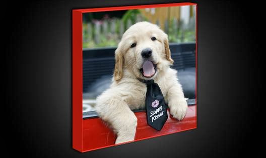 Vwebmedia - Custom Framing & Mounting | 1015 Green Valley Rd, London, ON N6N 1E4, Canada | Phone: (519) 266-4748