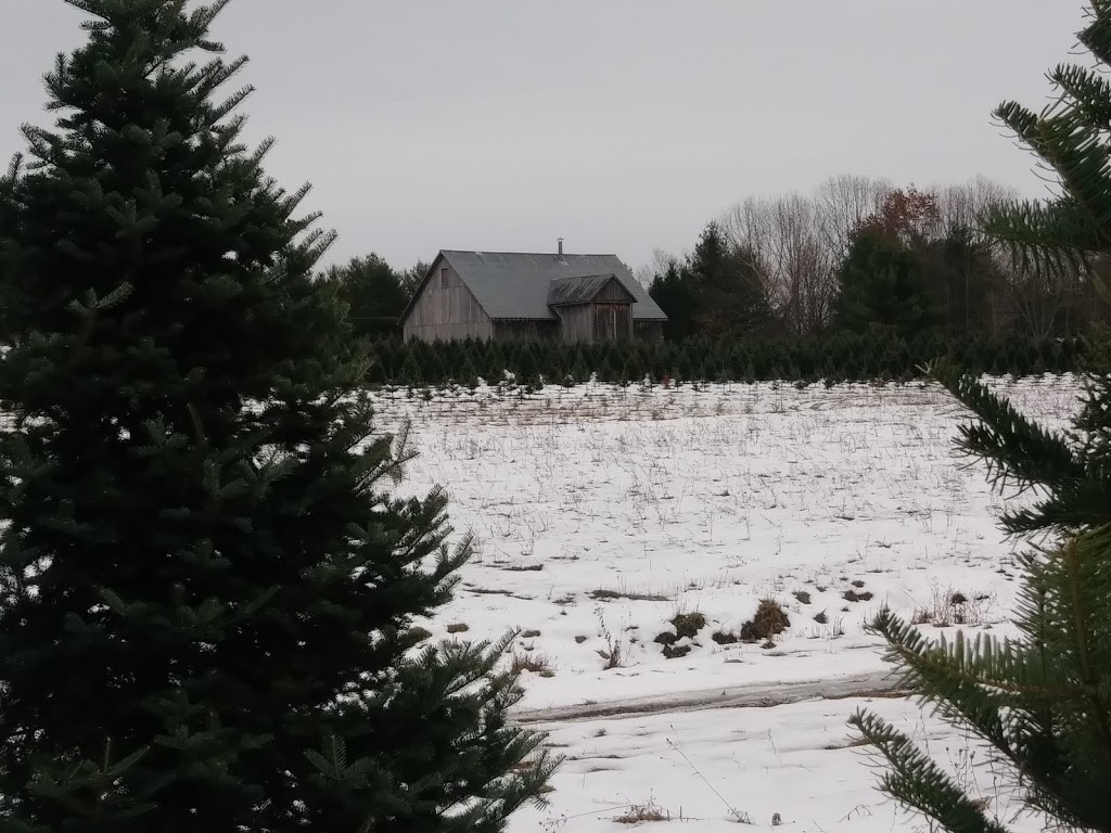 Plantation des Frontières | 295 Chemin des Érables, Saint-Armand, QC J0J 1T0, Canada | Phone: (450) 248-3575