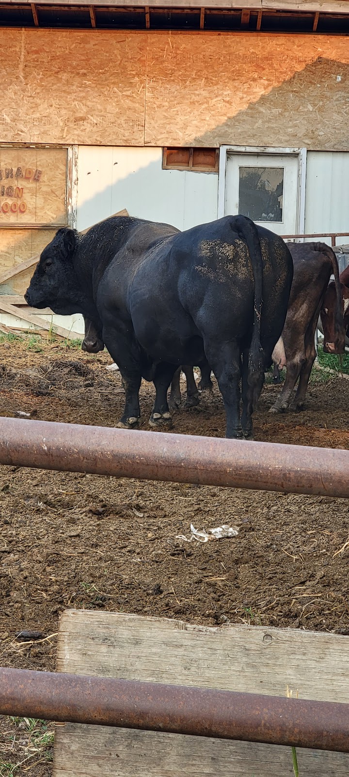 Animal Farm | Sturgeon County, AB T0E 1V0, Canada | Phone: (780) 729-5180