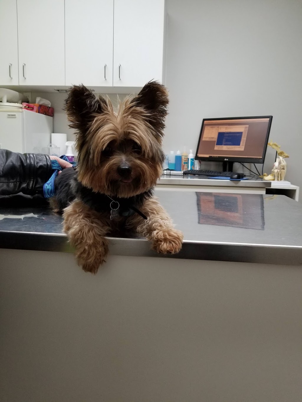 Carrefour Santé Animale | 4600 Boulevard Industriel, Sherbrooke, QC J1L 2S8, Canada | Phone: (819) 562-4448