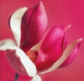 Freedom Lodge & Spa | 5214 Wesjac Rd, Madeira Park, BC V0N 2H1, Canada | Phone: (604) 885-8368
