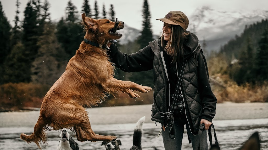 Trail Dogs | Pemberton, BC V0N 2L2, Canada | Phone: (604) 905-9273