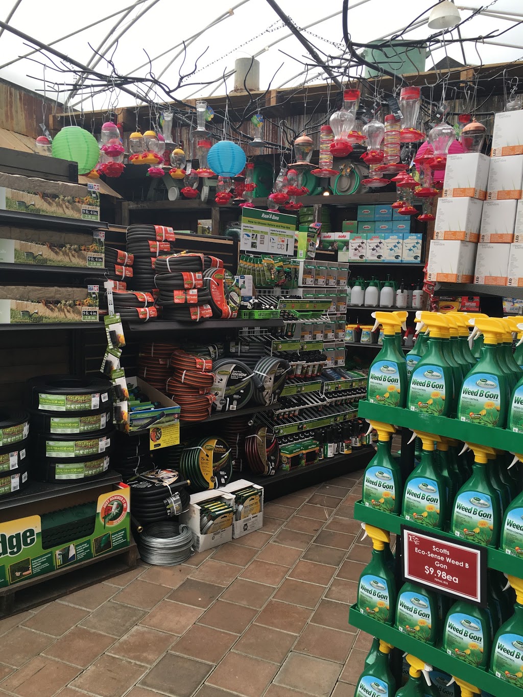 Cedar Rim Nursery Ltd | 7024 Glover Rd, Langley Twp, BC V2Y 2R1, Canada | Phone: (604) 888-4491