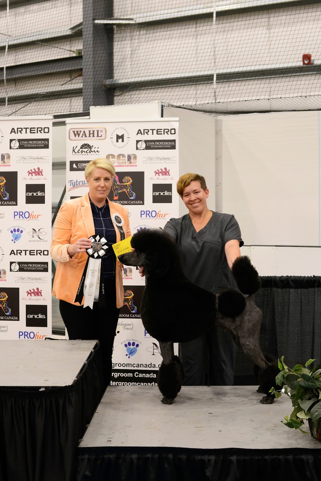 Mystic Pawz Dog Grooming | Midnapore, Calgary, AB T2X 1C7, Canada | Phone: (403) 251-7297