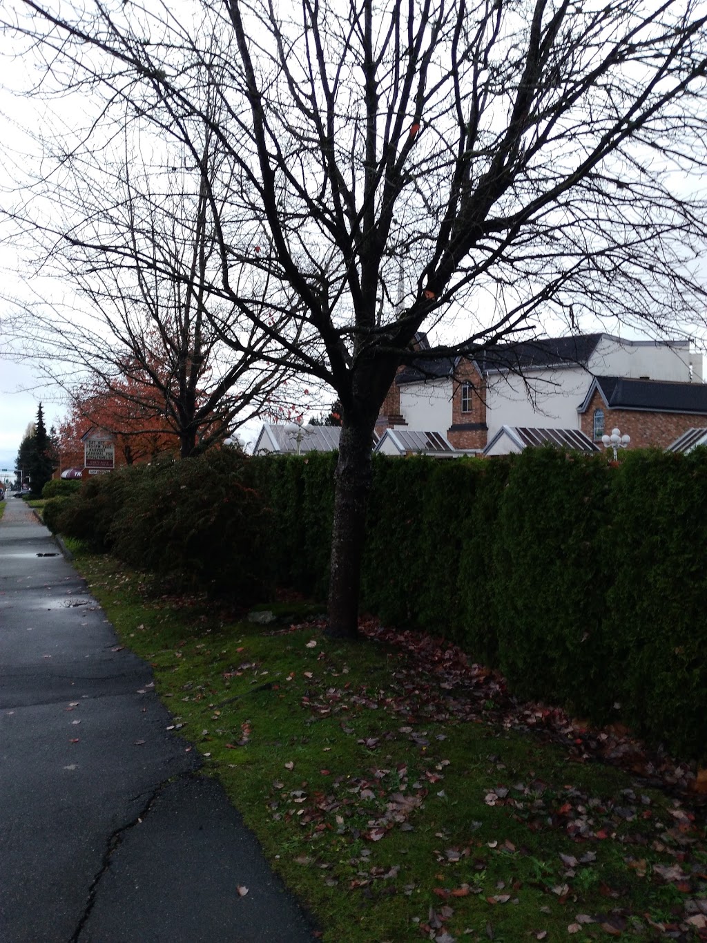 White Rock Baptist Church | 1657 140 St, Surrey, BC V4A 4H1, Canada | Phone: (604) 531-2344